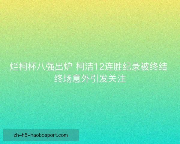 烂柯杯八强出炉 柯洁12连胜纪录被终结 终场意外引发关注 烂柯杯八强出炉 柯洁12连胜纪录被终结 终场意外引发关注
